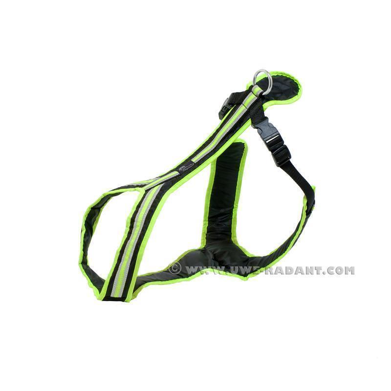 Uwe Radant - SAFETY Führ- und Zuggeschirr schwarz/neongrün